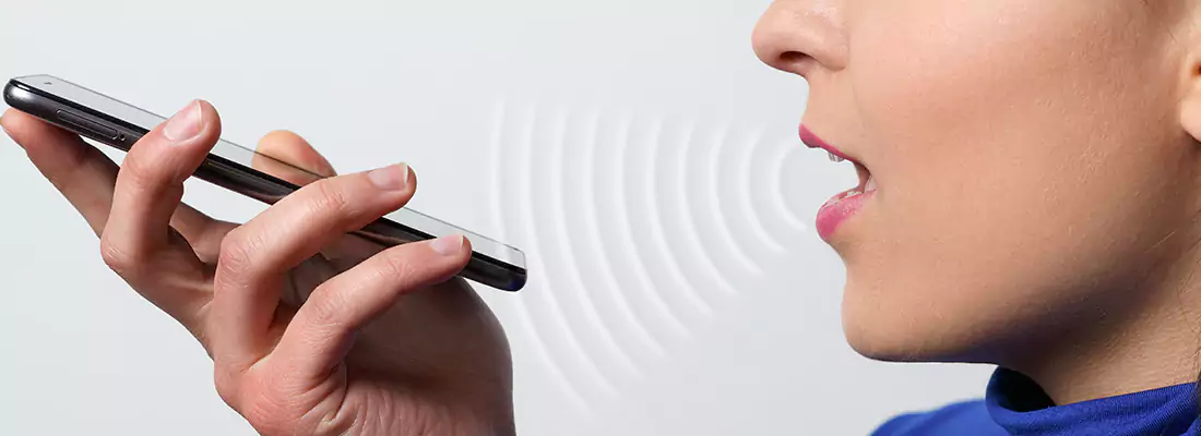 Residential and Commercial Voice Recognition Access Solutions in Port Charlotte, FL